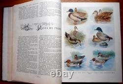 1956 USSR Russian Soviet HUNTER SPORTSMAN Illustrated Manual Reference Book