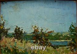 9 Russian Ukrainian Soviet Oil Paintings impressionism landscape sunny day goat