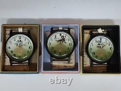 Collection Nos Pobeda Zodiac Full Set Soviet (ussr) Mechanical Wristwatches