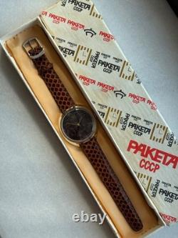 NOS NEW USSR Soviet Russian RAKETA Renaissance Watch JASP JASPER STONE DIAL