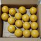 Rare Vintage Old Soviet Russian Ussr Balls Billiard Set 68.1mm Full Set