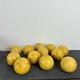 Rare Vintage Soviet Russian Billiard Balls Ussr Full Set Of 12