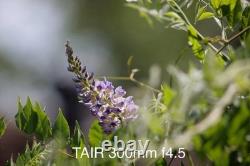 Russian Photo Sniper 300mm TAIR Lens + HELIOS 44 4 & Zenit ES Body USSR READ