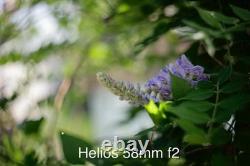 Russian Photo Sniper 300mm TAIR Lens + HELIOS 44 4 & Zenit ES Body USSR READ