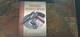 Russian Soviet Handguns Book- Last Book