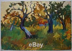 Russian Ukrainian Soviet Oil Painting Landscape tree impressionism fauvism