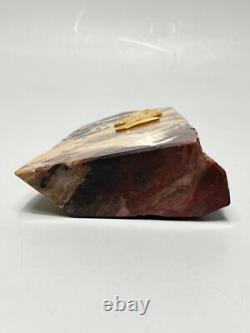 Soviet Russian Communist Propaganda Cabinet Paperweight Gild Lenin Jasper Rock