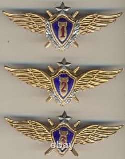 Soviet Russian Order red Medal star Banner badge Air Force Pilot wings(1504)
