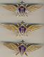 Soviet Russian Order Red Medal Star Banner Badge Air Force Pilot Wings(1504)