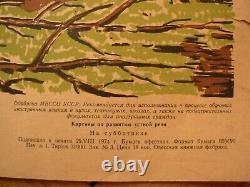 Soviet Russian Original Education Poster Pioneer Kudryashova USSR Children