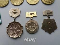 Soviet Russian Set of 18 Medals and Badges of Veteran WW2, Army USSR. Document