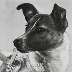 Soviet Russian Space Dog Laika Cigarette Case Rocket Sputnik 1957 USSR