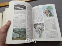 Vintage Soviet Viticulture Encyclopedia 3vol. Books Russian USSR