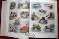 1956 URSS Russe Soviétique CHASSEUR SPORTSMAN Manuel illustré Livre de référence