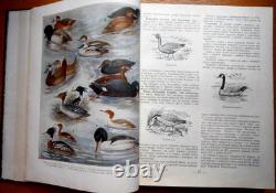 1956 URSS Russe Soviétique CHASSEUR SPORTSMAN Manuel illustré Livre de référence