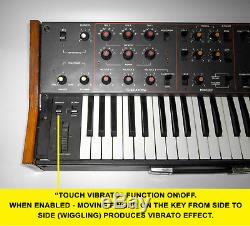 Altair 231 Synthesizer Analogique Sovietique Avec Minimoog Estradin MIDI Ussr Russe