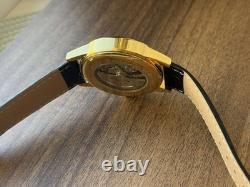 Montre Raketa mécanique 24h Antarctique russe jour homme soviétique rare URSS dorée